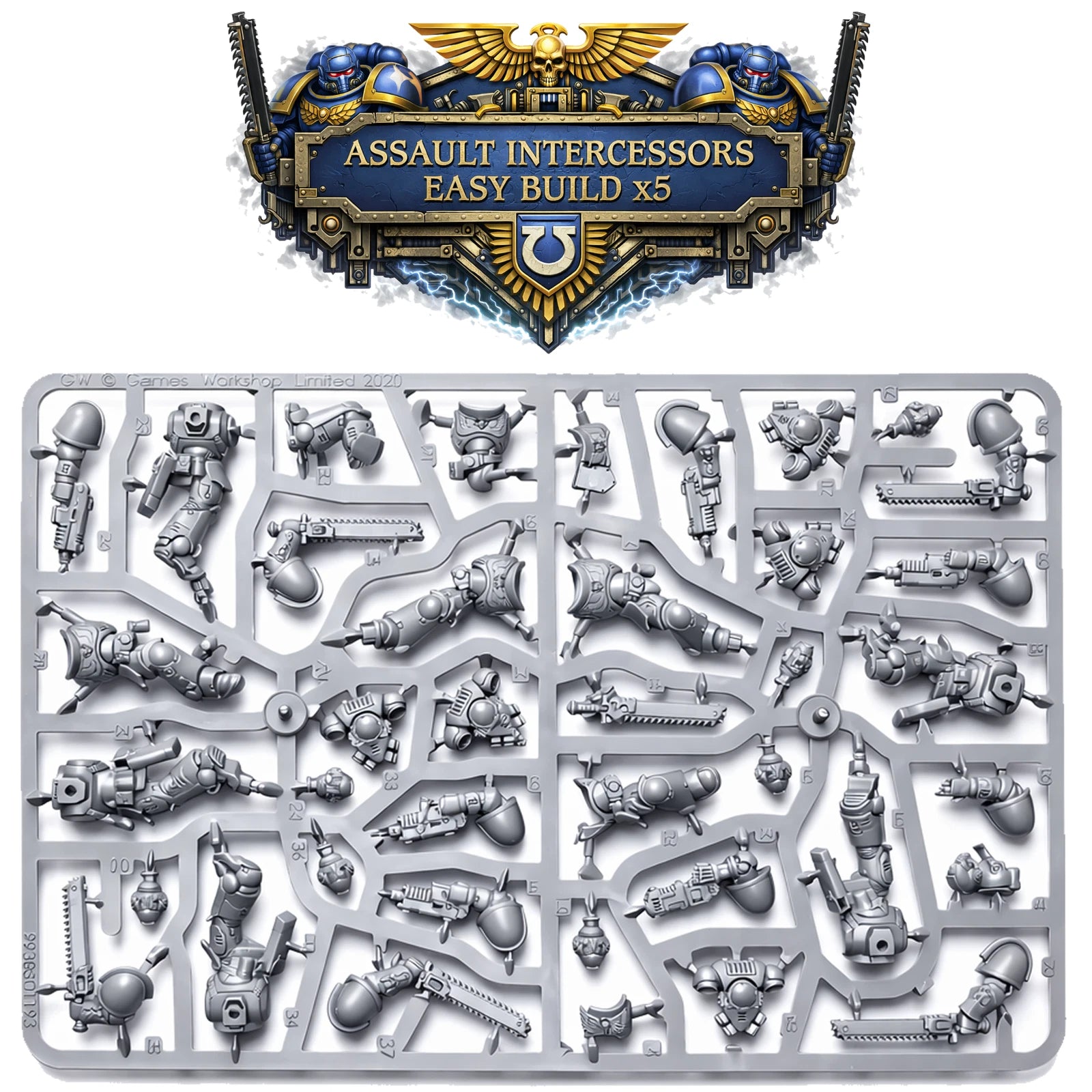 Warhammer 40k Primaris Space Marines Assault Intercessors Squad x 5 - No Bases